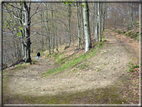 foto miniatura